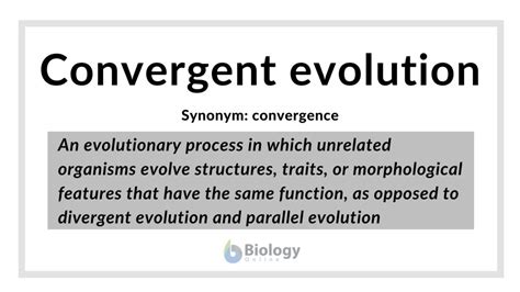 convergence antonyms|Evolution .